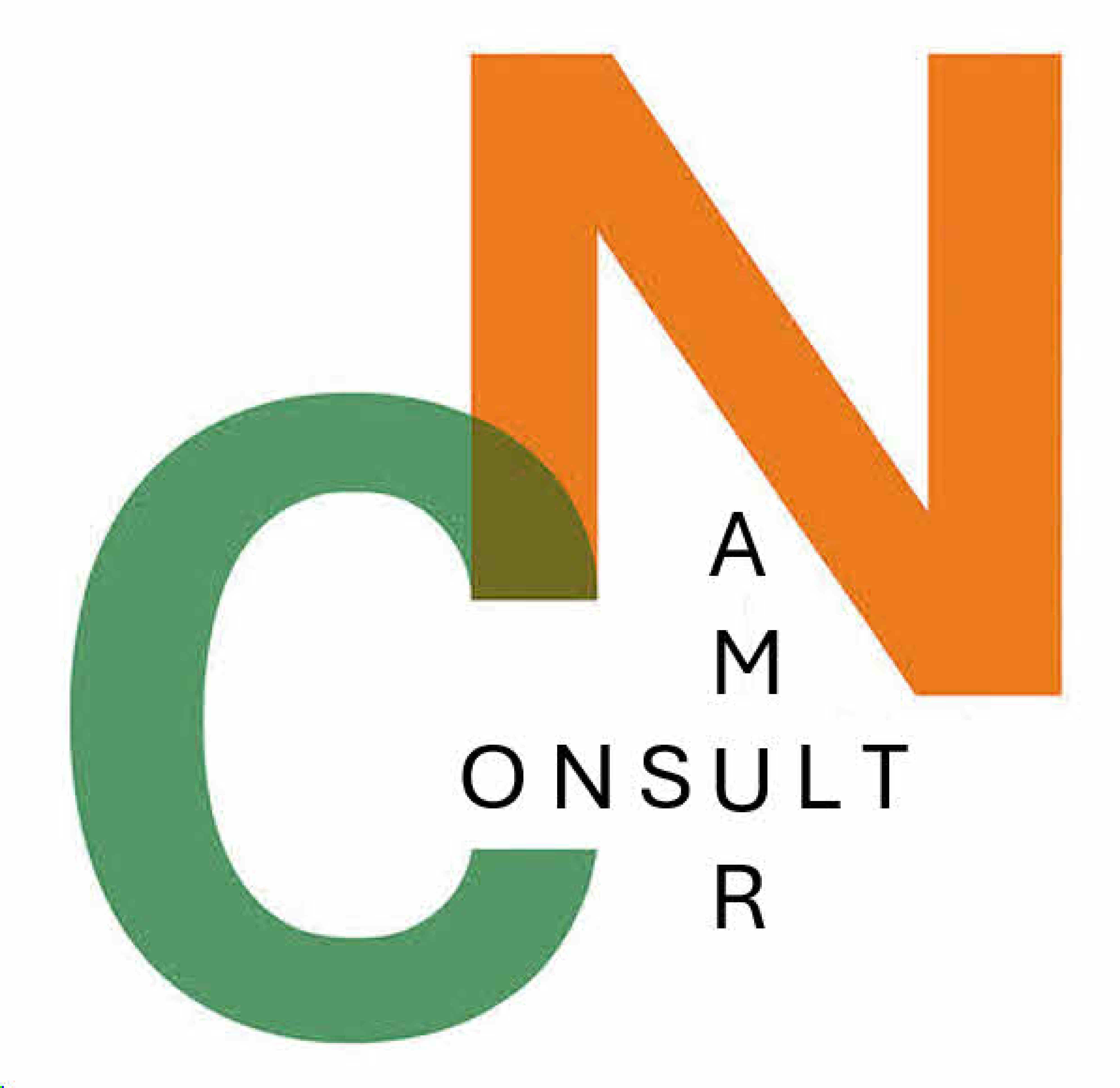 Logo Namur-Consult